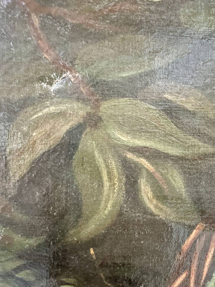Nature morte – Image 4
