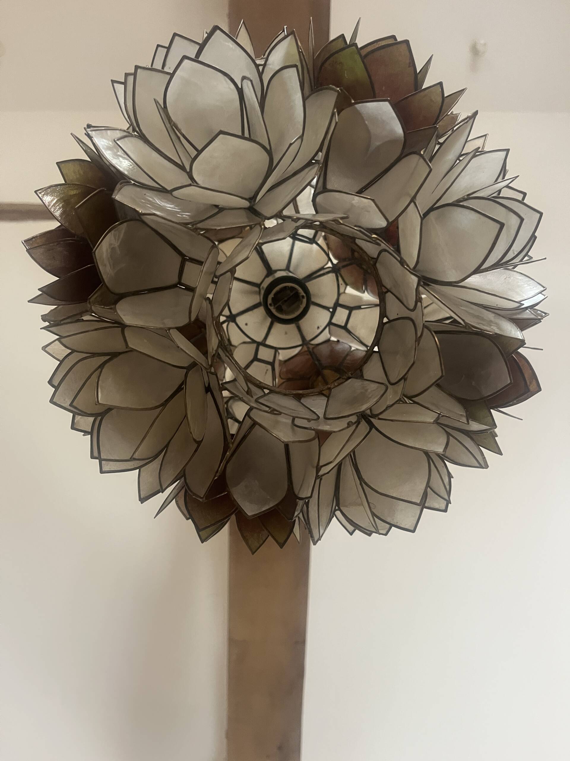 Lustre Lotus – Image 2