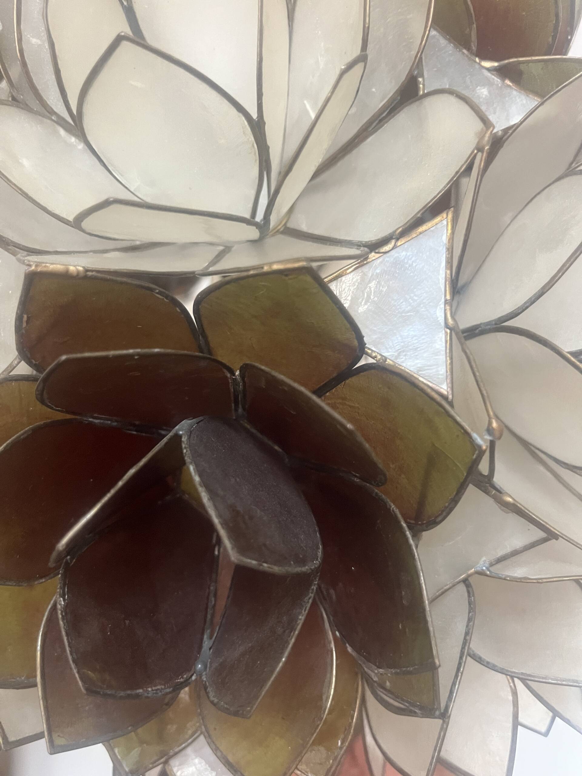 Lustre Lotus – Image 4